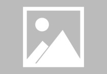 G2662 宝山淞南  3000平 纯一楼挑高6.5 米自由发挥 大车可入内 工、办、商相结合 满足客户特殊需求